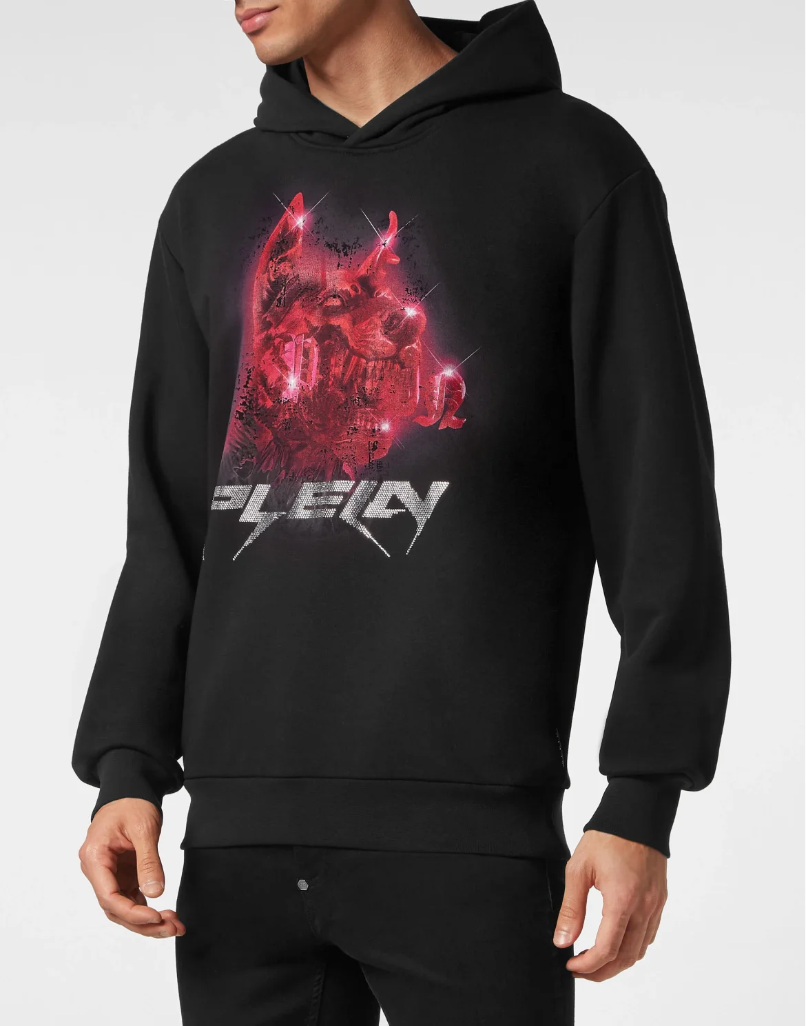 Hoodie Sweatshirt Dog, цвет: Черный