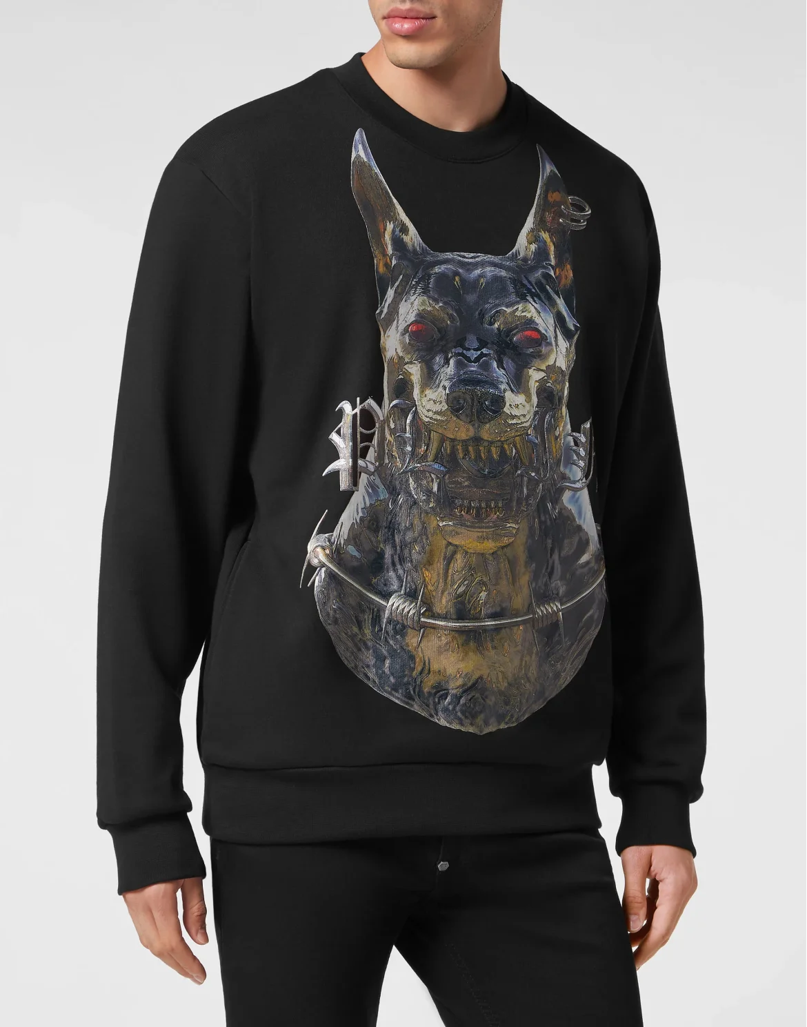 Sweatshirt Dog, цвет: Черный