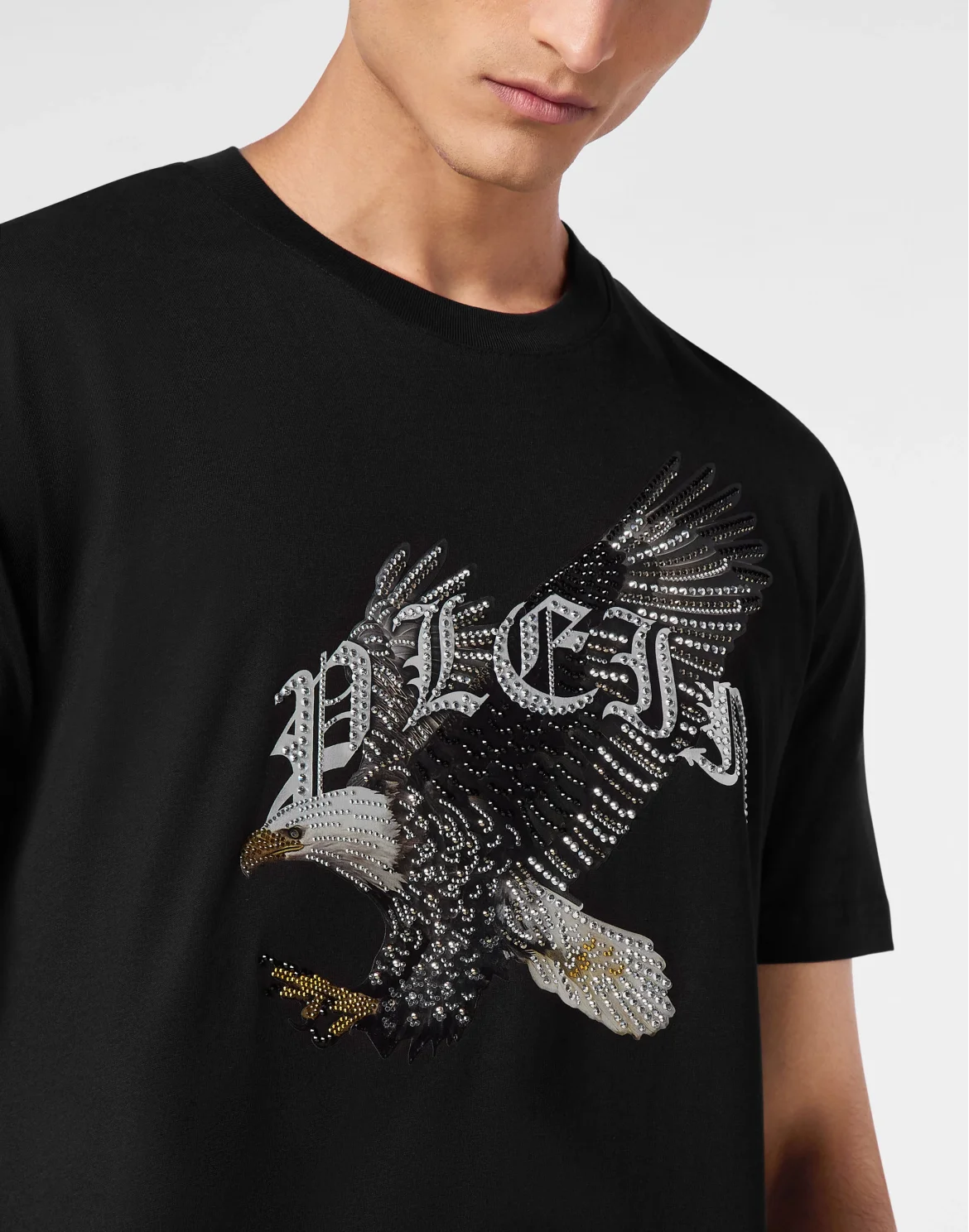 T-shirt Round Neck SS Eagle, цвет: Черный