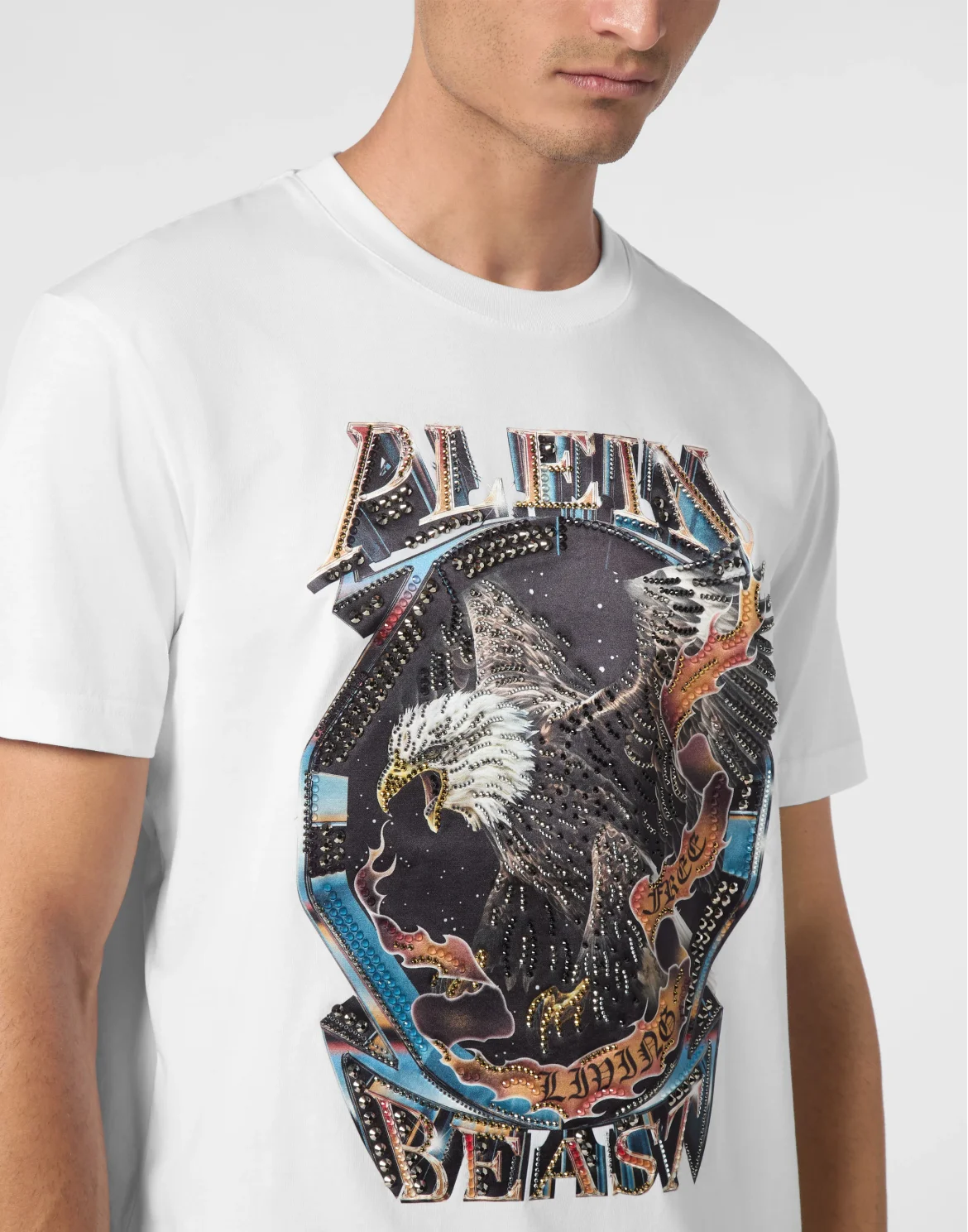 T-shirt Round Neck SS Stone Eagle, цвет: Белый