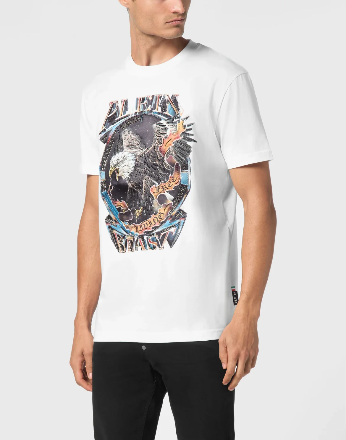 T-shirt Round Neck SS Stone Eagle, цвет: Белый