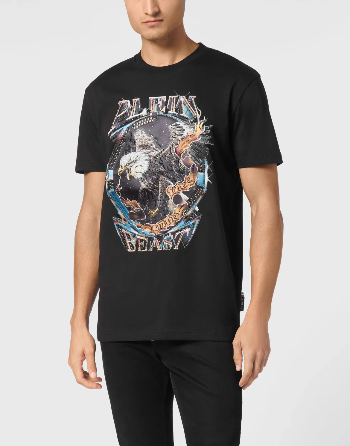 T-shirt Round Neck SS Stone Eagle, цвет: Черный