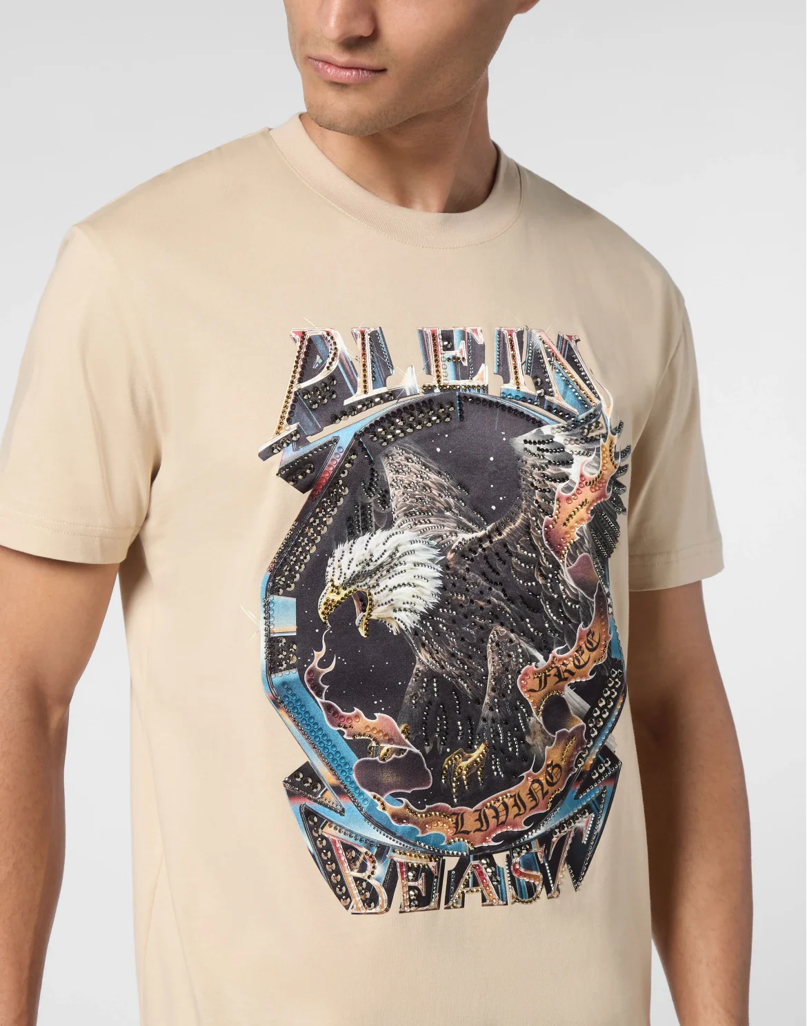T-shirt Round Neck SS Stone Eagle, цвет: Бежевый