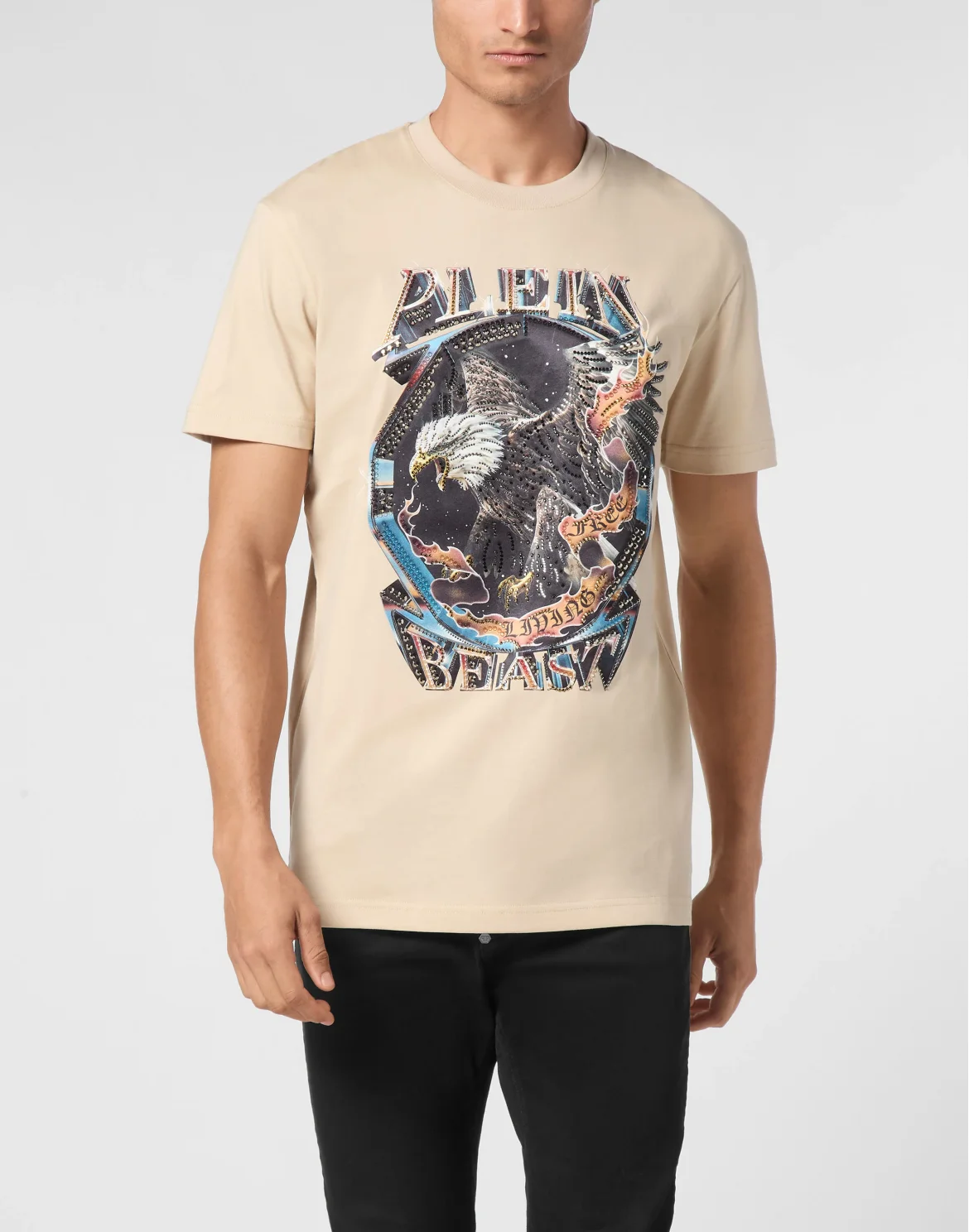 T-shirt Round Neck SS Stone Eagle, цвет: Бежевый