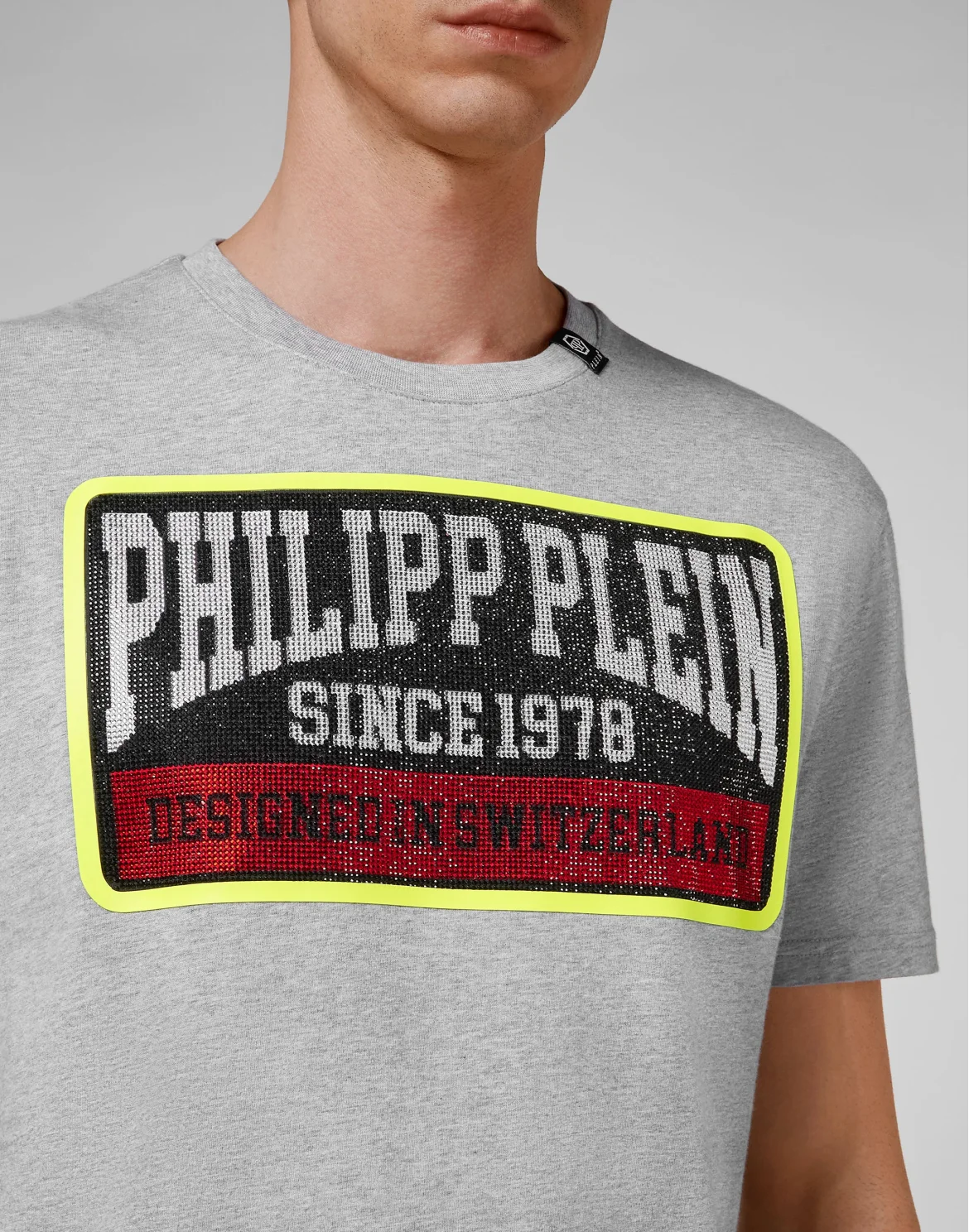 T-shirt Round Neck SS PP1978, цвет: Серый