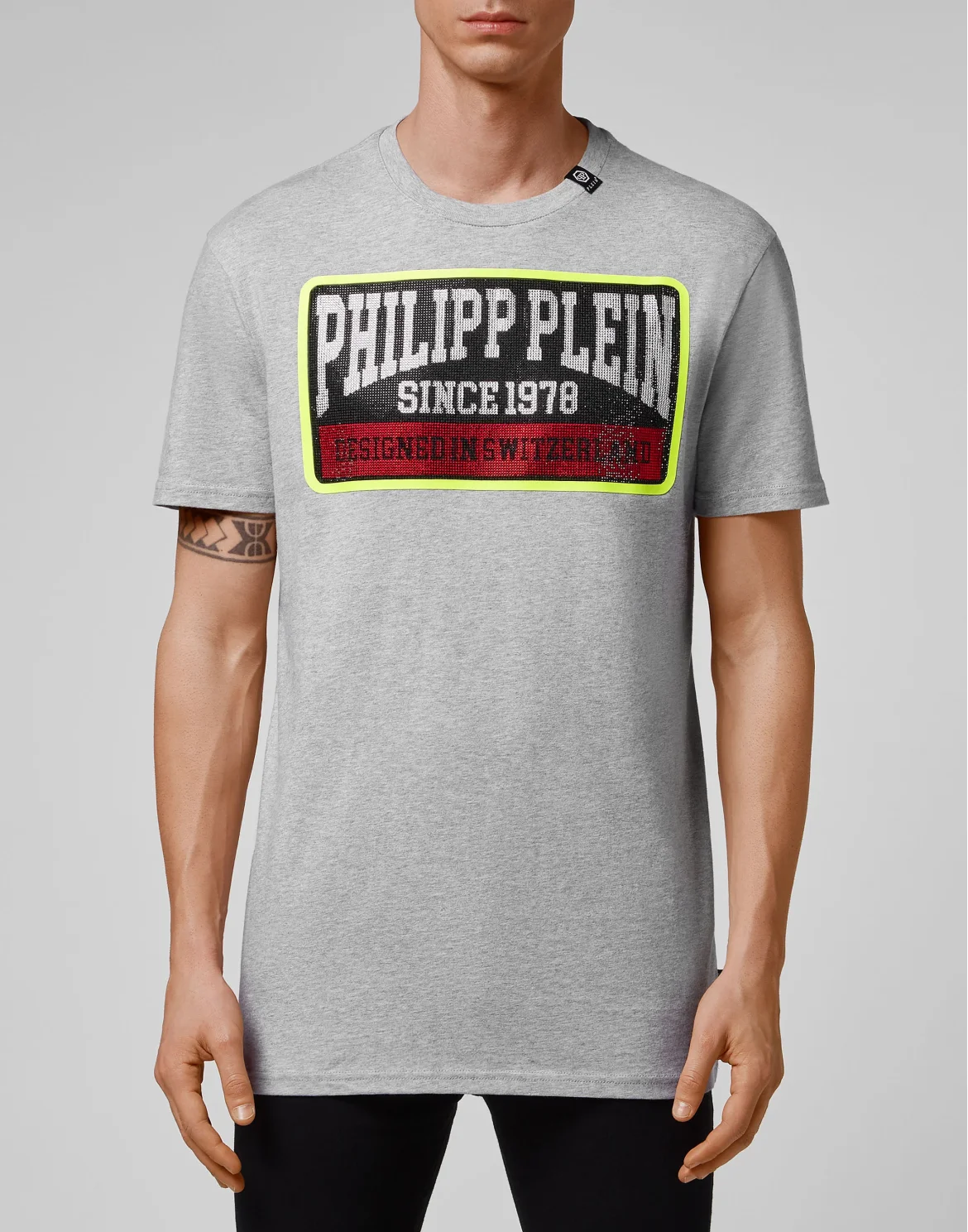 T-shirt Round Neck SS PP1978, цвет: Серый