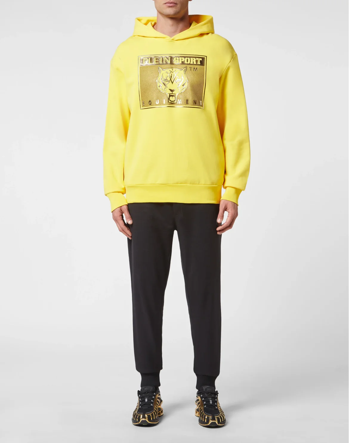 Hoodie sweatshirt Tiger, цвет: Желтый