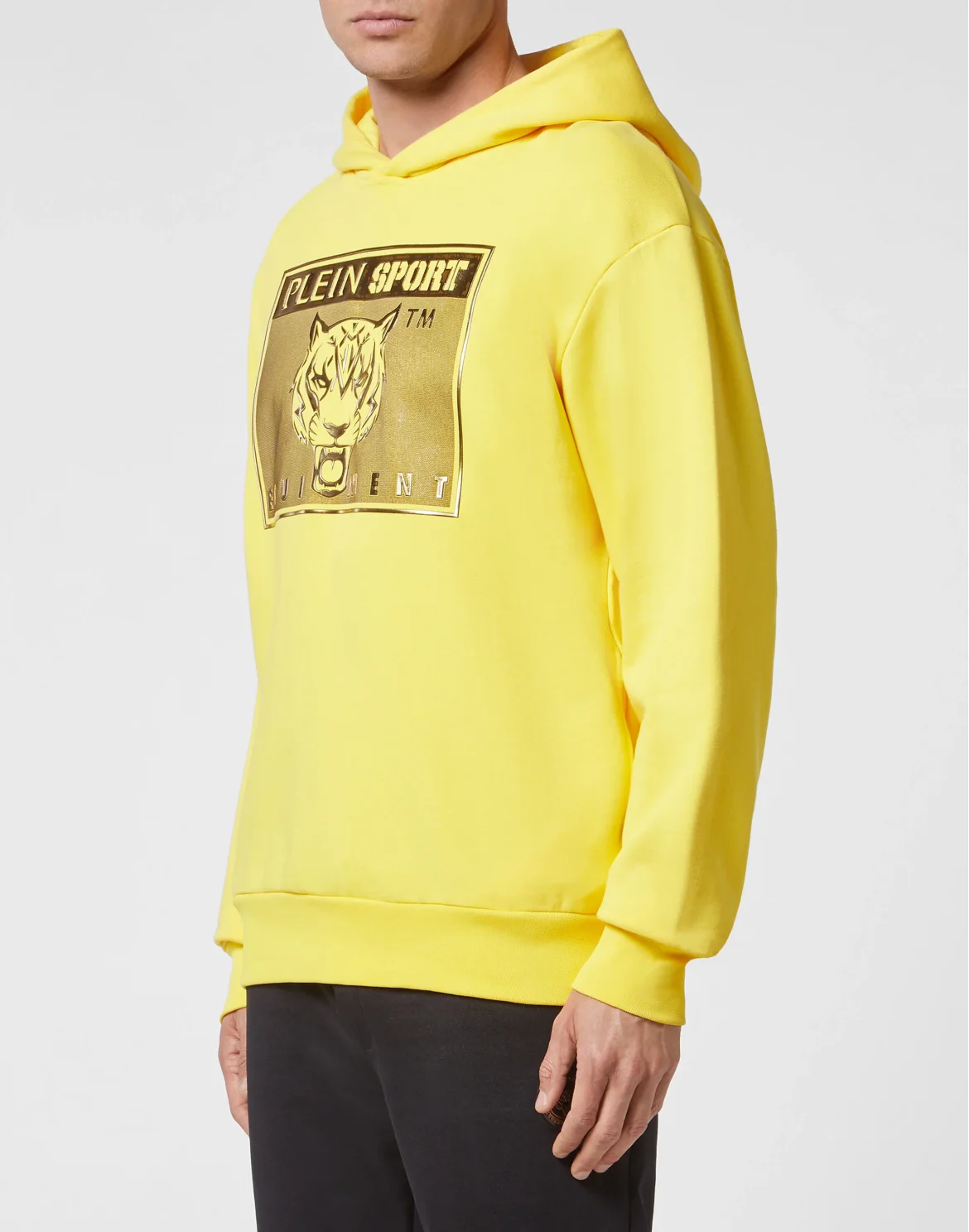 Hoodie sweatshirt Tiger, цвет: Желтый