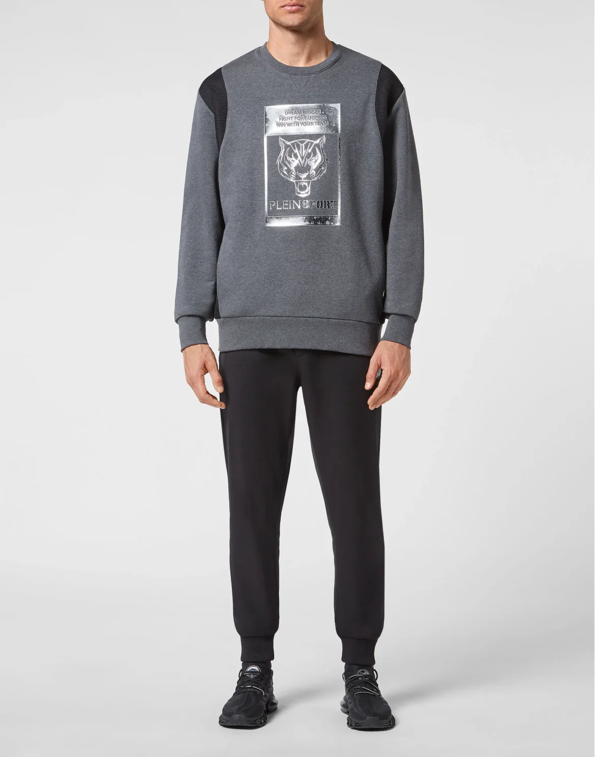 Sweatshirt Longsleeve Tiger, цвет: Серый