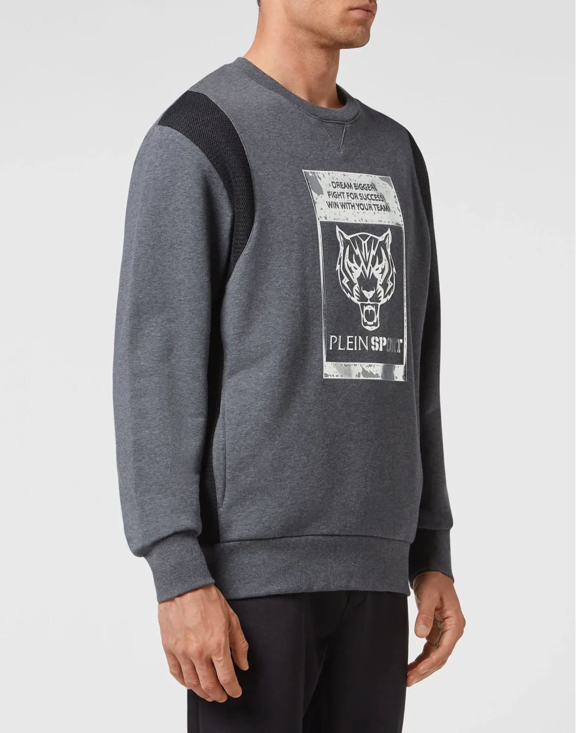 Sweatshirt Longsleeve Tiger, цвет: Серый