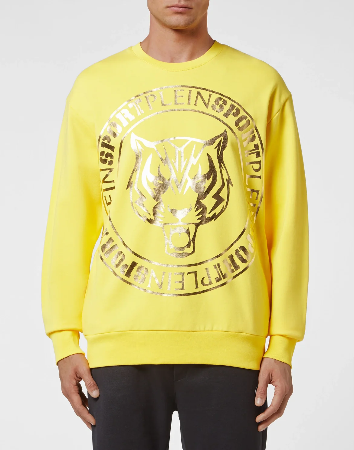 Longsleeve Sweatshirt Tiger, цвет: Желтый