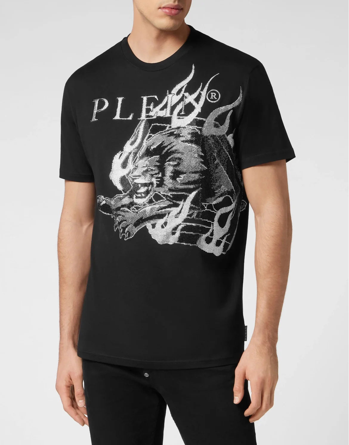 T-shirt Round Neck SS with crystals Lion Circus, цвет: Черный