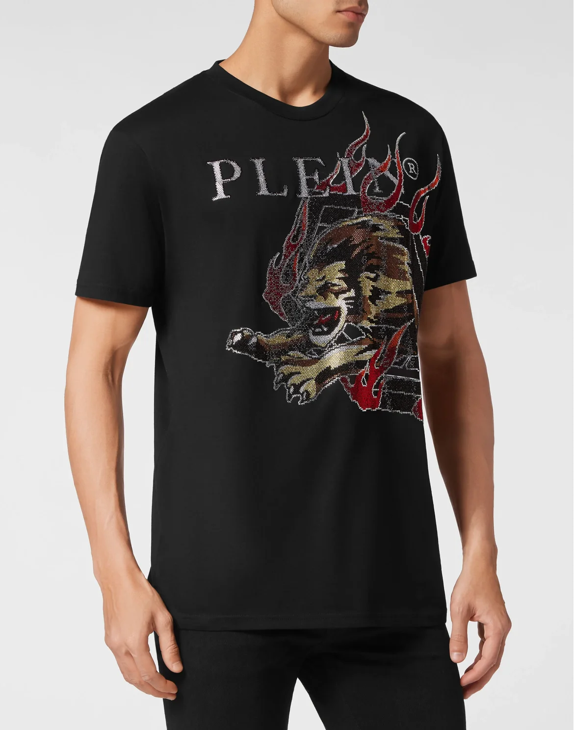T-shirt Round Neck SS with crystals Lion Circus, цвет: Черный