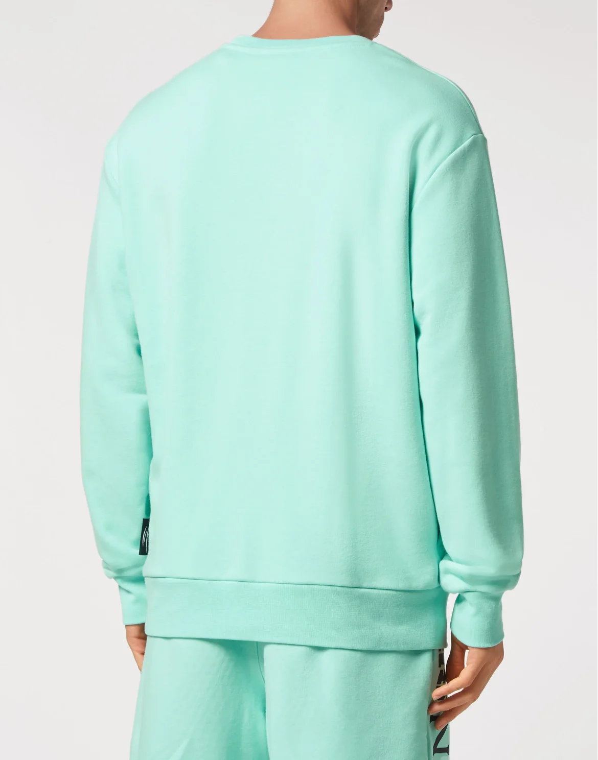 Sweatshirt Tiger, цвет: Бирюзовый