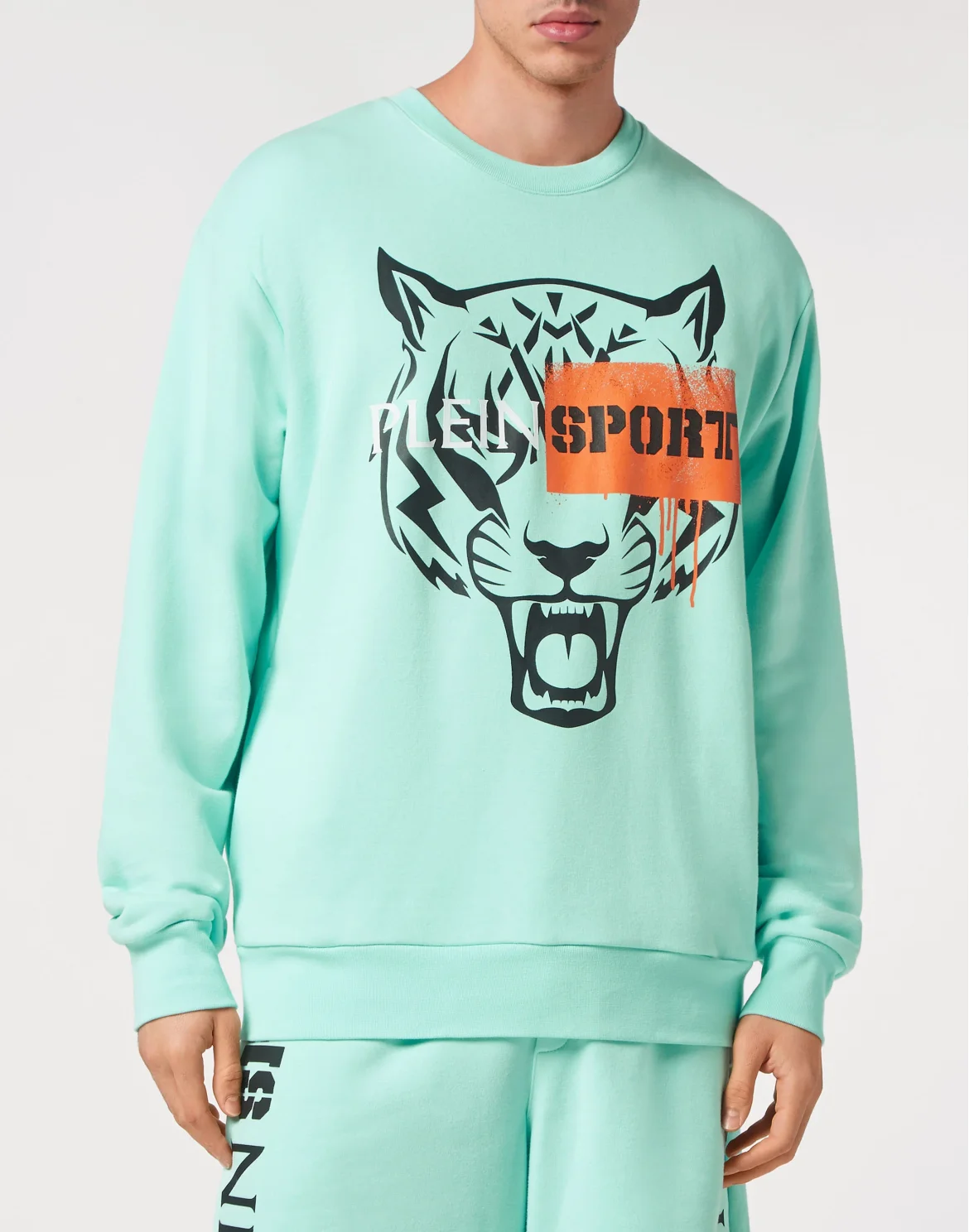 Sweatshirt Tiger, цвет: Бирюзовый