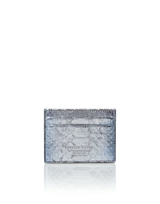 Python Credit Cards Holder
